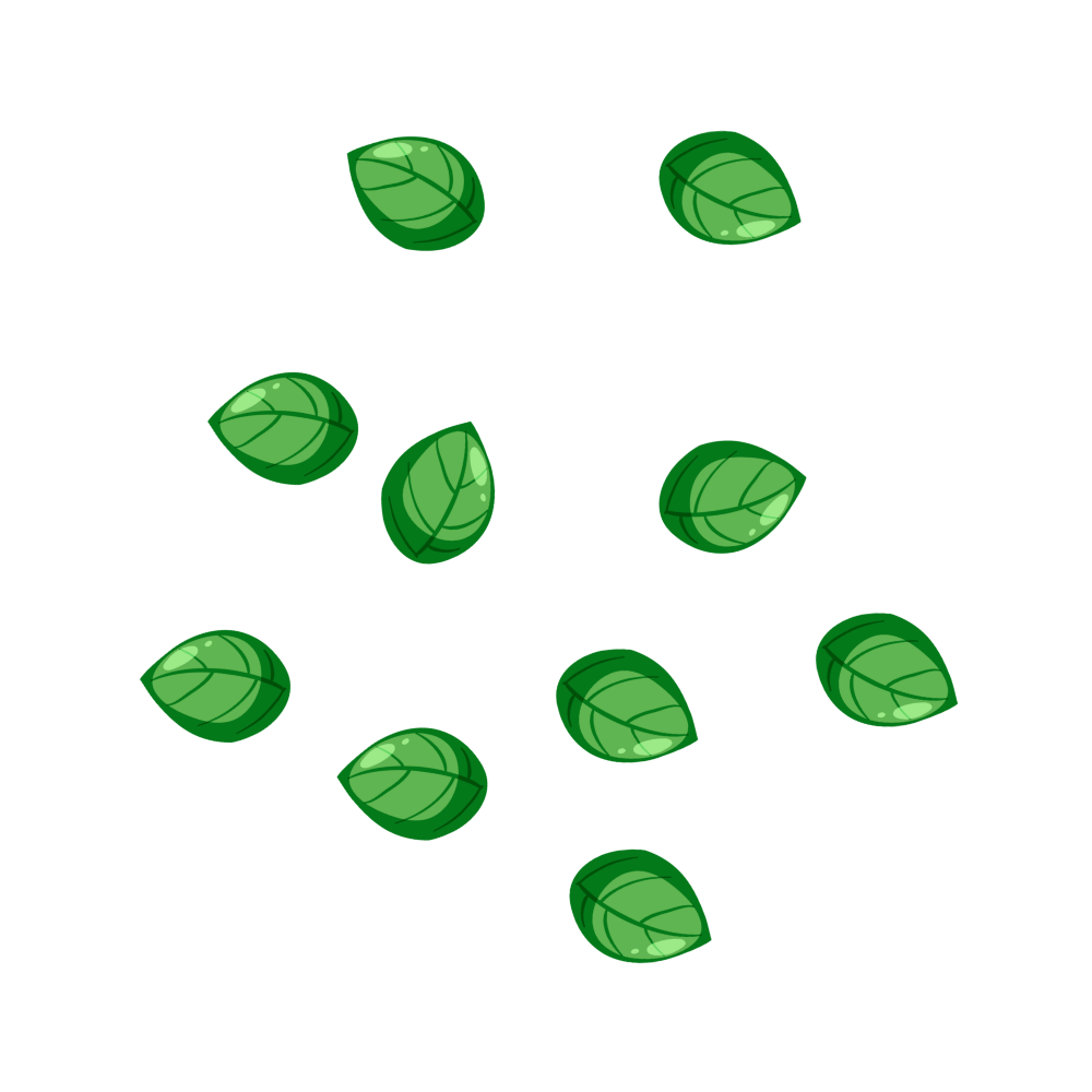 Pizza Base