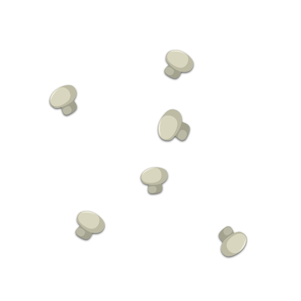 Pizza Base